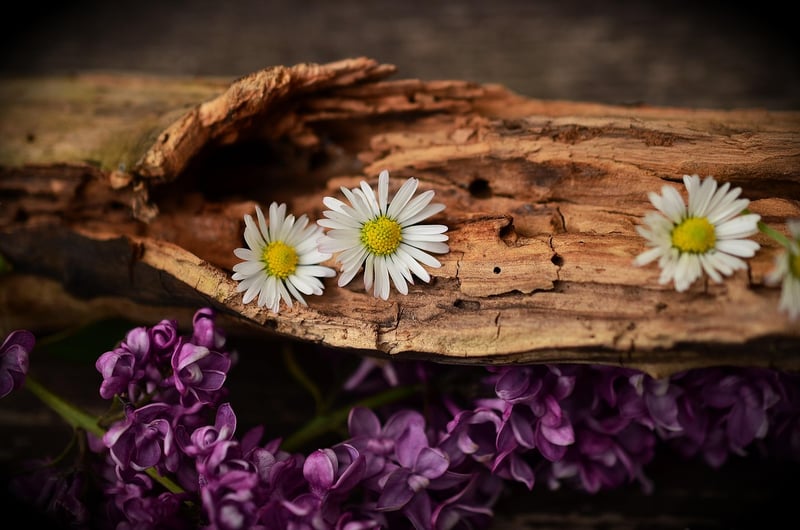 Wooden Artwork